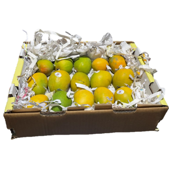 Premium Alphonso Mango Box (Medium-Sized)