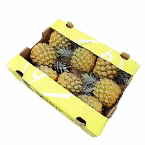 Baby Pineapple Box