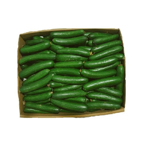 Cucumber Box