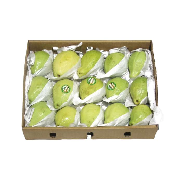 Guava Box