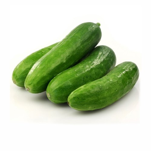Organic Snack Cucumber