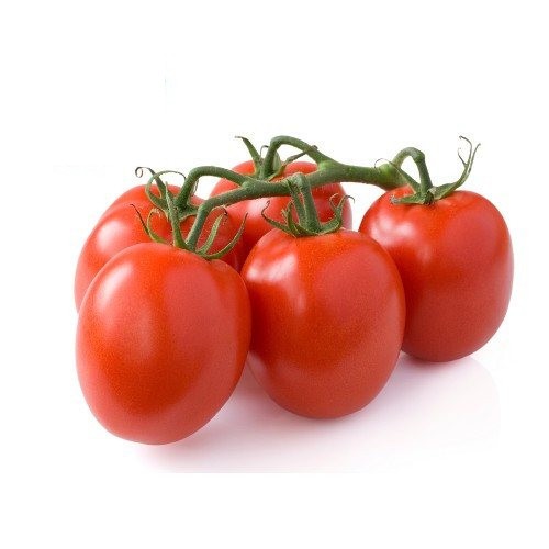 Premium Plum Tomato
