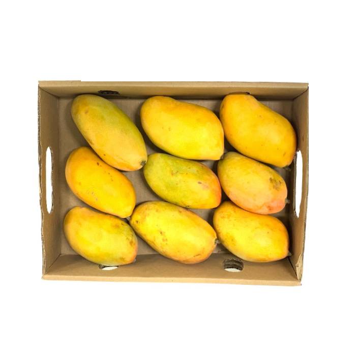 Taimoor Mango Box
