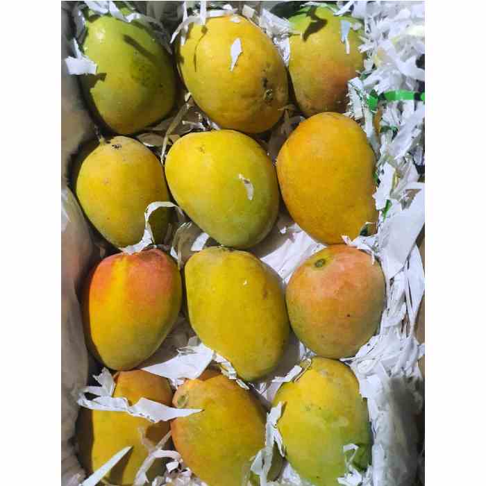 Premium Ratnagiri Alphonso Mango Box
