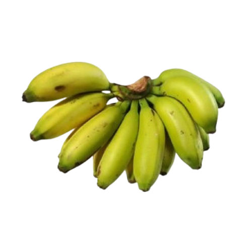 Unripe Rasakadali Banana