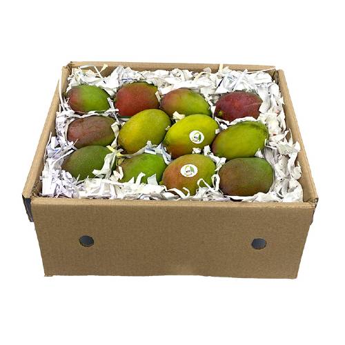 Sindhri Mango Box (Unripe)