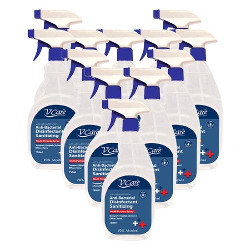 V Care Sanitizing Spray 750ml (Pack of 12)