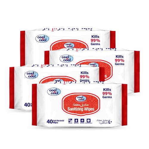 Sanitizing Wipes 40's (Pack of 4)