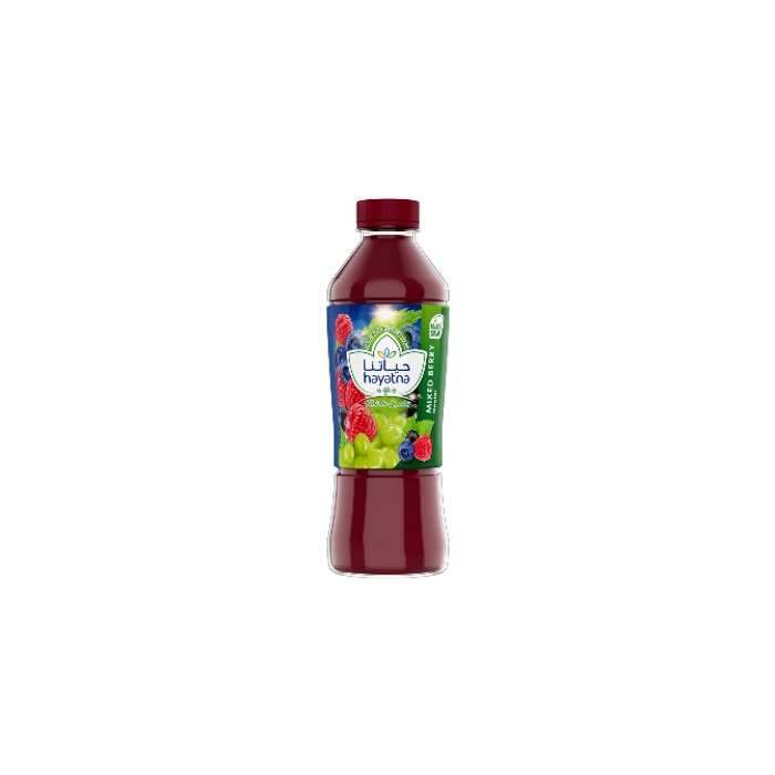 Hayatna Mixed Berry Nectar Juice 200ml