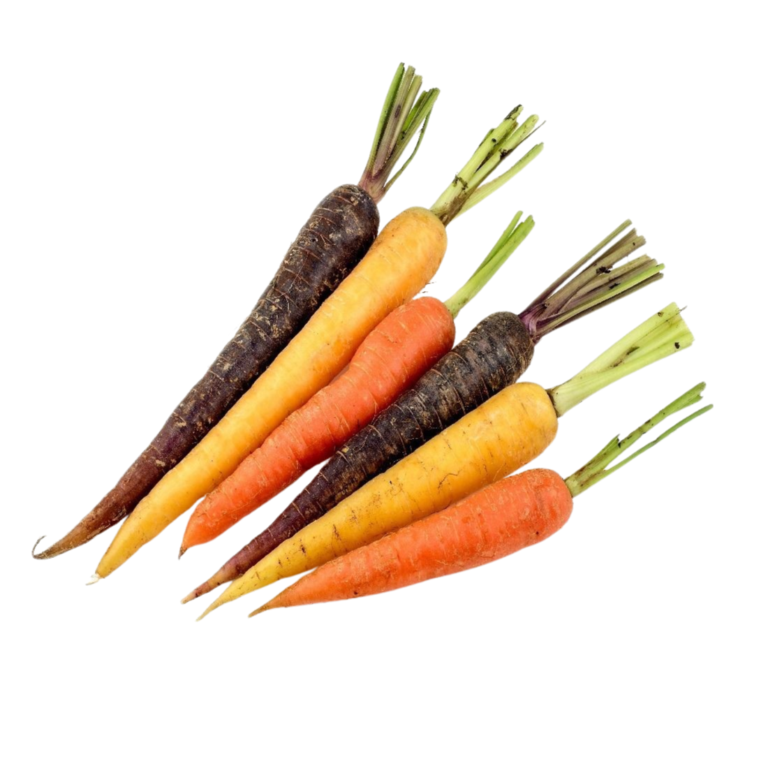  Rainbow Baby Carrots